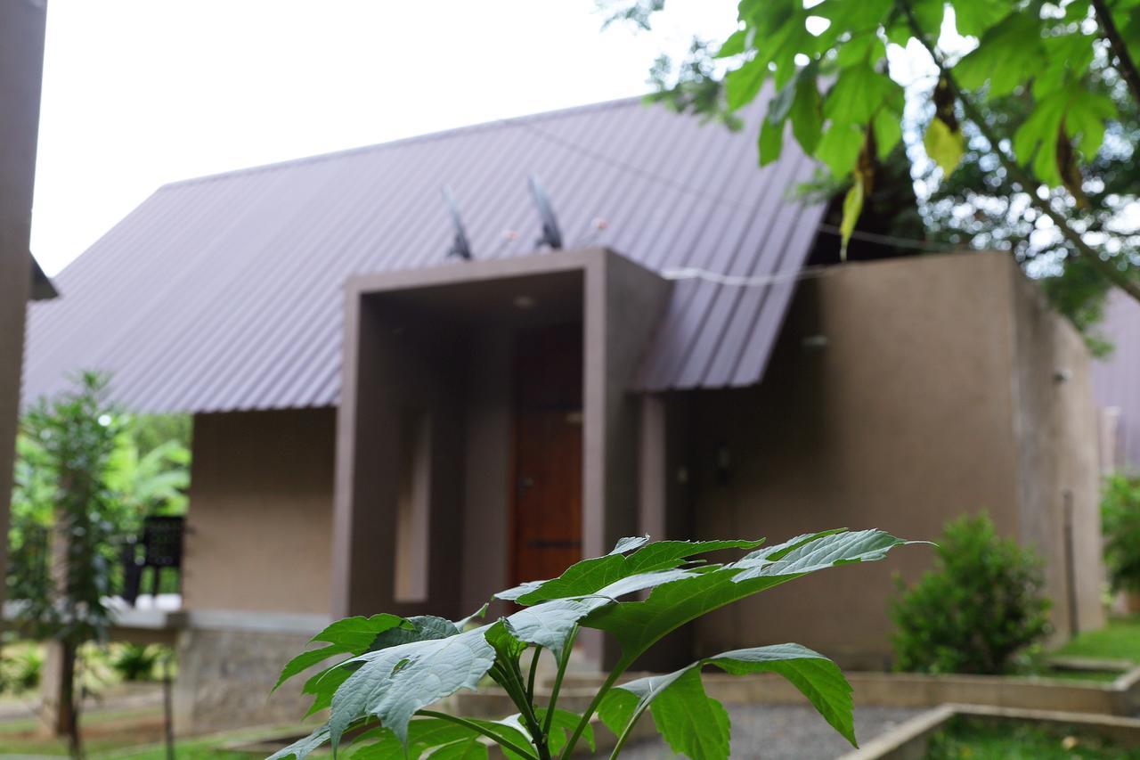 Hantara Udawalawa Udawalawe Kültér fotó